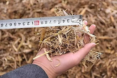 Straw
