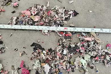 Fabric