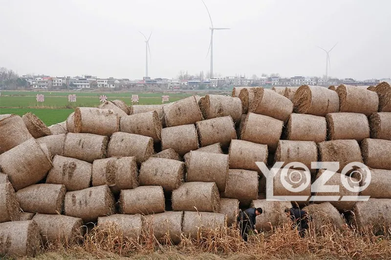 Biomass Shredder Machine for Agricultural Waste Recycling and Size Reduction