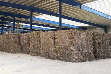 Straw