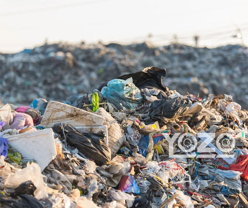 Municipal Solid Waste