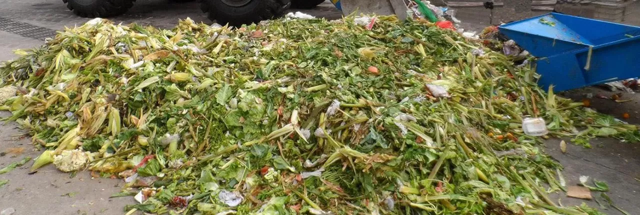 Kitchen WasteBefore processing