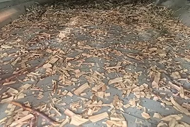 Wood